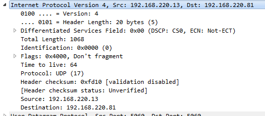 IP packet header in wireshark